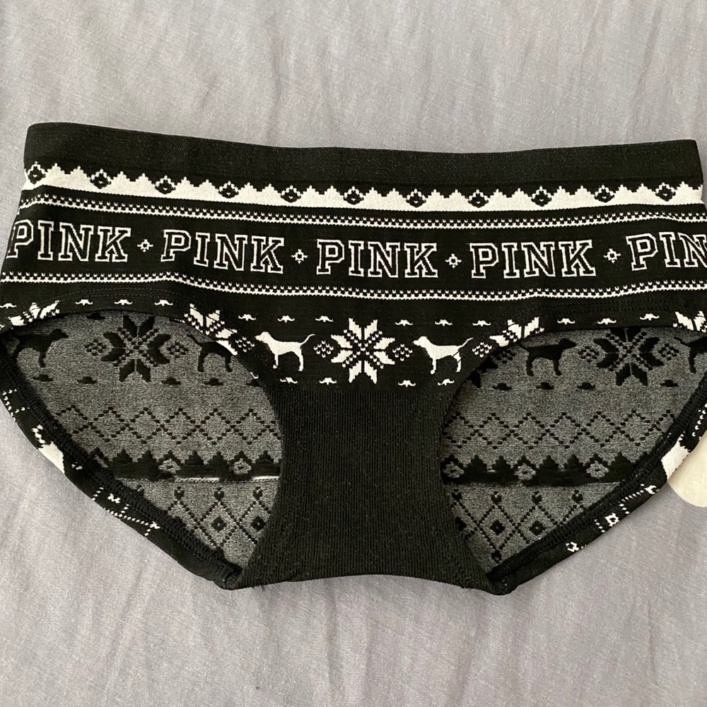 Pink Seamless Hipster Panty Size XS